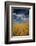 USA, Washington State. Rolling Hills of Ripe Wheat-Terry Eggers-Framed Photographic Print