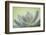 USA, Washington State, Seabeck. Abstract of succulent plant.-Jaynes Gallery-Framed Photographic Print