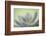 USA, Washington State, Seabeck. Abstract of succulent plant.-Jaynes Gallery-Framed Photographic Print