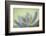 USA, Washington State, Seabeck. Abstract of succulent plant.-Jaynes Gallery-Framed Photographic Print