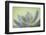 USA, Washington State, Seabeck. Abstract of succulent plant.-Jaynes Gallery-Framed Photographic Print