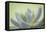 USA, Washington State, Seabeck. Abstract of succulent plant.-Jaynes Gallery-Framed Premier Image Canvas