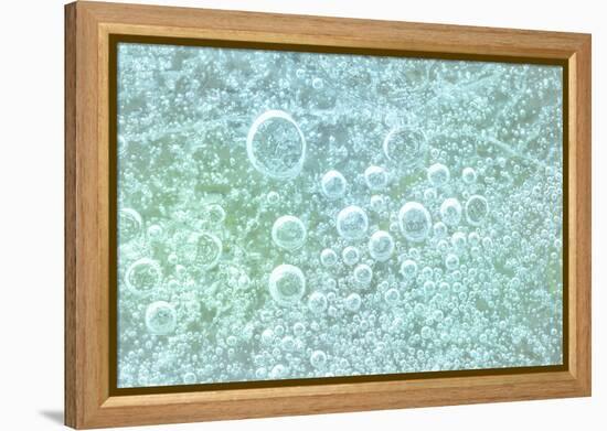 USA, Washington State, Seabeck. Bubbles frozen in ice.-Jaynes Gallery-Framed Premier Image Canvas