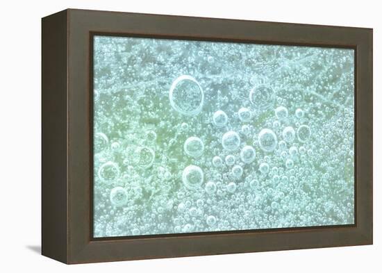 USA, Washington State, Seabeck. Bubbles frozen in ice.-Jaynes Gallery-Framed Premier Image Canvas