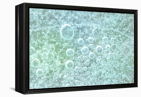 USA, Washington State, Seabeck. Bubbles frozen in ice.-Jaynes Gallery-Framed Premier Image Canvas