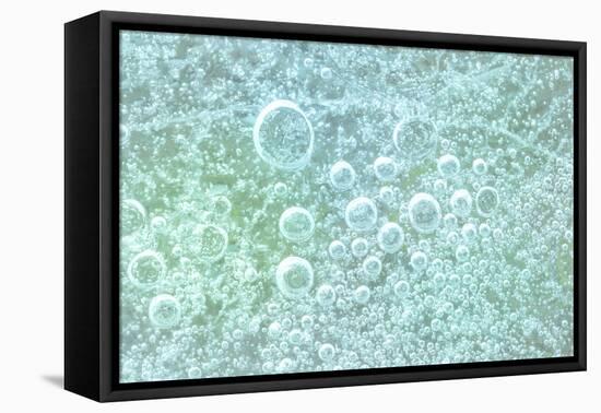 USA, Washington State, Seabeck. Bubbles frozen in ice.-Jaynes Gallery-Framed Premier Image Canvas