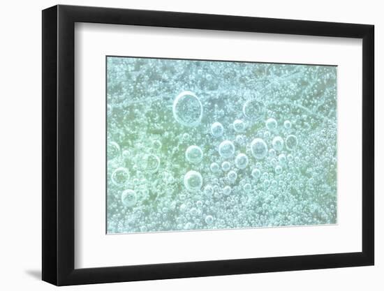 USA, Washington State, Seabeck. Bubbles frozen in ice.-Jaynes Gallery-Framed Photographic Print