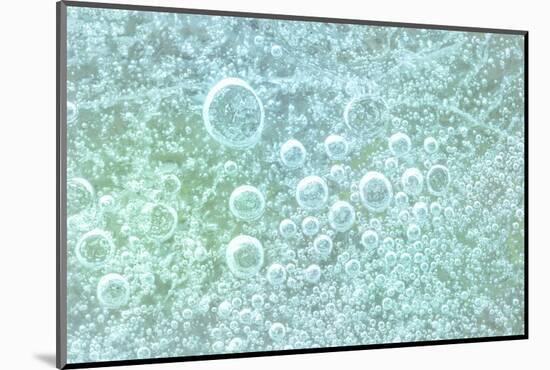 USA, Washington State, Seabeck. Bubbles frozen in ice.-Jaynes Gallery-Mounted Photographic Print