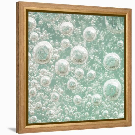 USA, Washington State, Seabeck. Bubbles frozen in ice.-Jaynes Gallery-Framed Premier Image Canvas