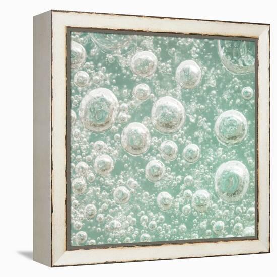 USA, Washington State, Seabeck. Bubbles frozen in ice.-Jaynes Gallery-Framed Premier Image Canvas