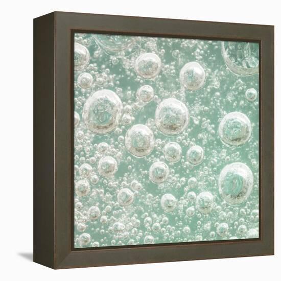 USA, Washington State, Seabeck. Bubbles frozen in ice.-Jaynes Gallery-Framed Premier Image Canvas