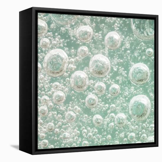 USA, Washington State, Seabeck. Bubbles frozen in ice.-Jaynes Gallery-Framed Premier Image Canvas