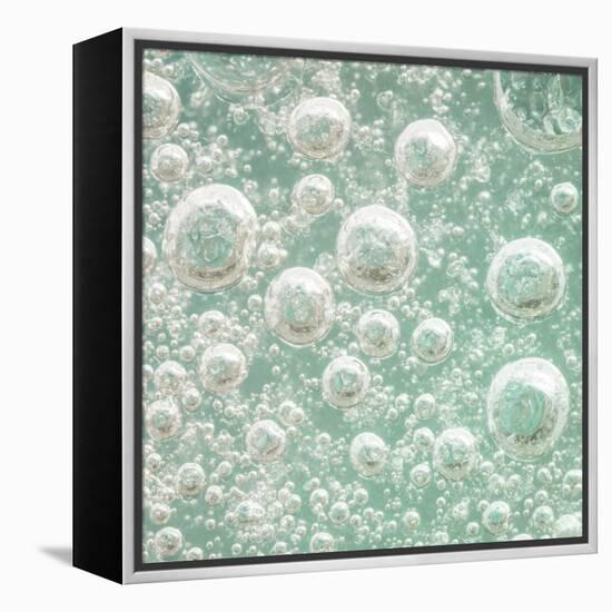 USA, Washington State, Seabeck. Bubbles frozen in ice.-Jaynes Gallery-Framed Premier Image Canvas