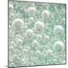 USA, Washington State, Seabeck. Bubbles frozen in ice.-Jaynes Gallery-Mounted Photographic Print