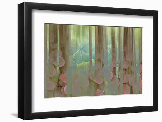 USA, Washington State, Seabeck. Collage of Oxalis and Trees-Don Paulson-Framed Photographic Print