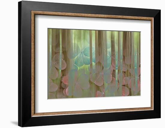 USA, Washington State, Seabeck. Collage of Oxalis and Trees-Don Paulson-Framed Photographic Print