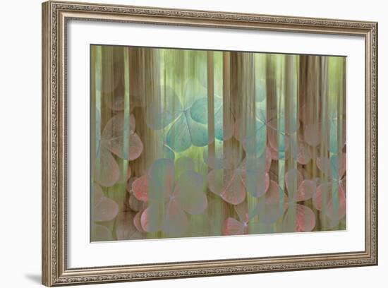 USA, Washington State, Seabeck. Collage of Oxalis and Trees-Don Paulson-Framed Photographic Print