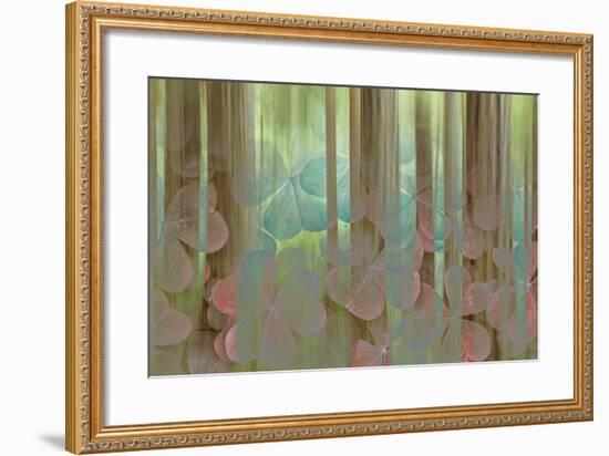 USA, Washington State, Seabeck. Collage of Oxalis and Trees-Don Paulson-Framed Photographic Print