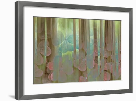 USA, Washington State, Seabeck. Collage of Oxalis and Trees-Don Paulson-Framed Photographic Print