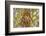 USA, Washington State, Seabeck. Dahlia blossom close-up.-Jaynes Gallery-Framed Photographic Print