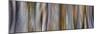 USA, Washington State, Seabeck. Panoramic abstract of tree trunk and limbs.-Jaynes Gallery-Mounted Photographic Print