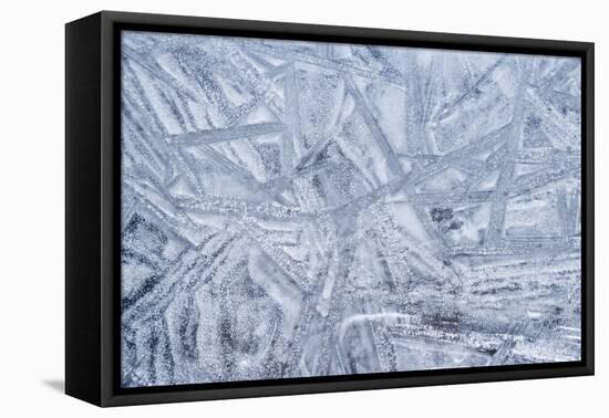 USA, Washington State, Seabeck. Patterns on Ice-Don Paulson-Framed Premier Image Canvas