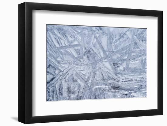 USA, Washington State, Seabeck. Patterns on Ice-Don Paulson-Framed Photographic Print