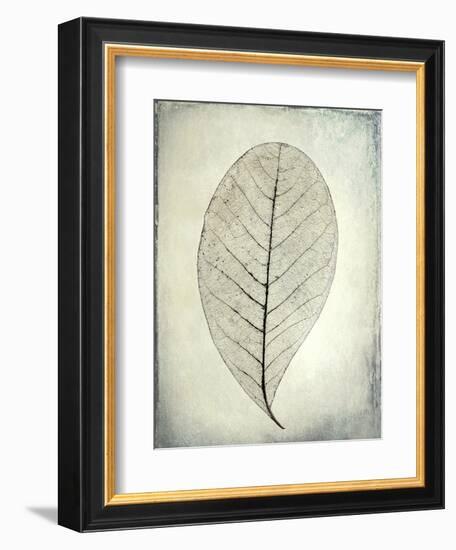 USA, Washington State, Seabeck. Skeletonized leaf close-up.-Jaynes Gallery-Framed Premium Photographic Print