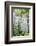 USA, Washington State, Seattle. Kubota Garden, wisteria.-Rob Tilley-Framed Photographic Print