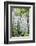 USA, Washington State, Seattle. Kubota Garden, wisteria.-Rob Tilley-Framed Photographic Print