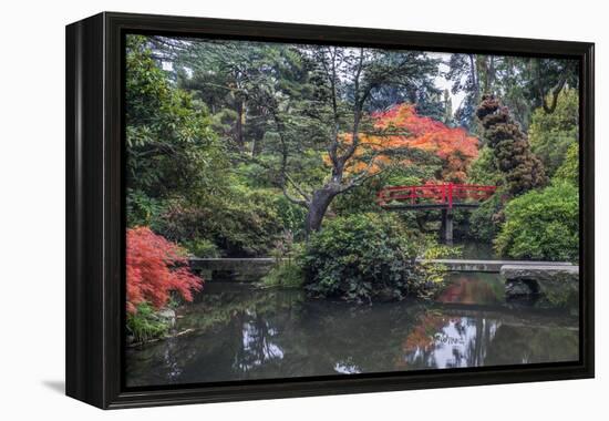 USA, Washington State, Seattle. Kubota Japanese Garden.-Rob Tilley-Framed Premier Image Canvas