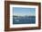 Usa, Washington State, Seattle. Lake Union and Downtown view from Gas Works Park-Michele Molinari-Framed Photographic Print