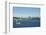 Usa, Washington State, Seattle. Lake Union and Downtown view from Gas Works Park-Michele Molinari-Framed Photographic Print