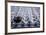 USA, Washington State, Seattle. Red wine in row of glasses.-Richard Duval-Framed Photographic Print