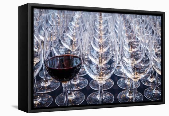 USA, Washington State, Seattle. Red wine in row of glasses.-Richard Duval-Framed Premier Image Canvas