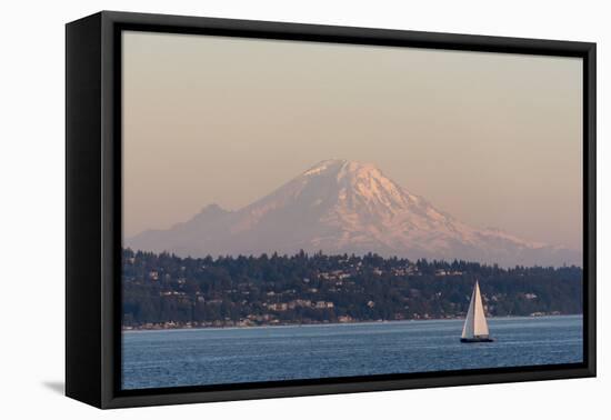 USA, Washington State, Seattle. Sailboat passes in front of Mt. Rainier pink dusk light-Trish Drury-Framed Premier Image Canvas