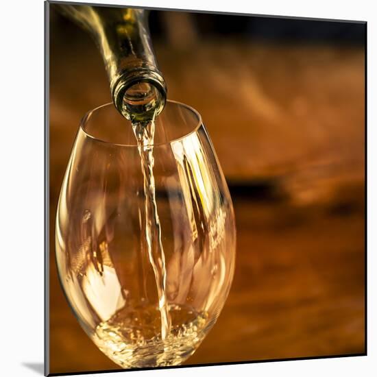 USA, Washington State, Seattle. White wine pouring into glass in a Seattle winery.-Richard Duval-Mounted Photographic Print