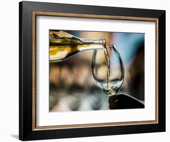 USA, Washington State, Seattle. White wine tasting-Richard Duval-Framed Photographic Print