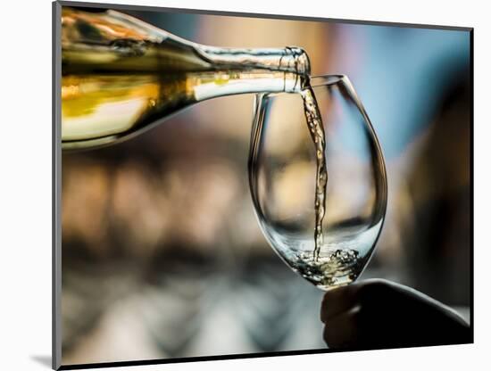 USA, Washington State, Seattle. White wine tasting-Richard Duval-Mounted Photographic Print