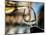 USA, Washington State, Seattle. White wine tasting-Richard Duval-Mounted Photographic Print