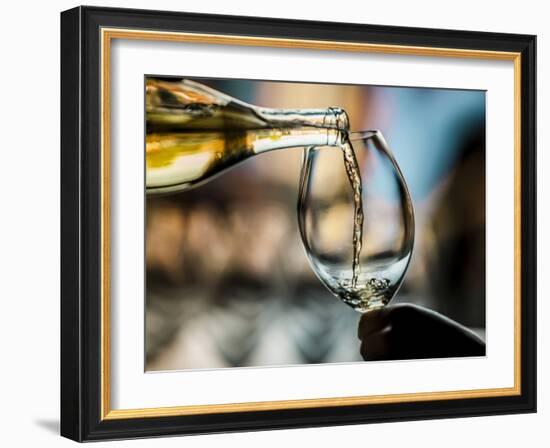 USA, Washington State, Seattle. White wine tasting-Richard Duval-Framed Photographic Print