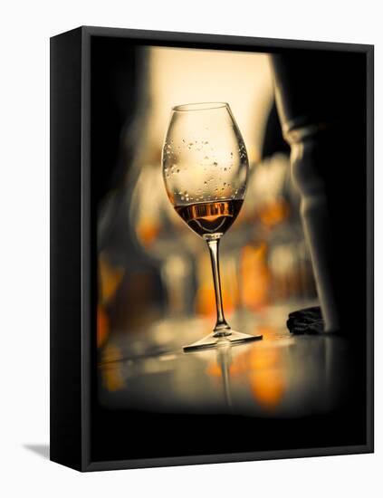 USA, Washington State, Seattle. Wine glass reflecting light.-Richard Duval-Framed Premier Image Canvas