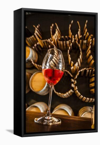 USA, Washington State, Seattle, wineries.-Richard Duval-Framed Premier Image Canvas