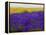 USA, Washington State, Sequim, Lavender Field-Terry Eggers-Framed Premier Image Canvas