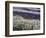 USA, Washington State, Sequim, Lavender Field-Terry Eggers-Framed Photographic Print