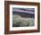 USA, Washington State, Sequim, Lavender Field-Terry Eggers-Framed Photographic Print