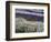 USA, Washington State, Sequim, Lavender Field-Terry Eggers-Framed Photographic Print