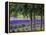 USA, Washington State, Sequim, Lavender Field-Terry Eggers-Framed Premier Image Canvas