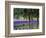 USA, Washington State, Sequim, Lavender Field-Terry Eggers-Framed Photographic Print