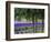 USA, Washington State, Sequim, Lavender Field-Terry Eggers-Framed Photographic Print